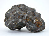 72.06g Amazing SERICHO Pallasite Meteorite