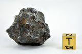 72.06g Amazing SERICHO Pallasite Meteorite