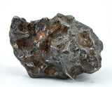 55.75g Amazing Complete SERICHO Pallasite Meteorite