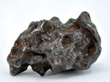 55.75g Amazing Complete SERICHO Pallasite Meteorite