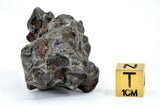 55.75g Amazing Complete SERICHO Pallasite Meteorite