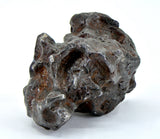 55.75g Amazing Complete SERICHO Pallasite Meteorite