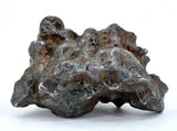 55.75g Amazing Complete SERICHO Pallasite Meteorite
