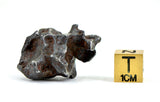 16.26g Amazing Complete SERICHO Pallasite Meteorite