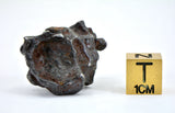 16.26g Amazing Complete SERICHO Pallasite Meteorite