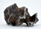 16.26g Amazing Complete SERICHO Pallasite Meteorite