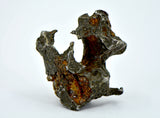 9.29g SERICHO Pallasite Meteorite I Sculpted meteorite