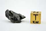 6.43g SIKHOTE ALIN witnessed fall 1947 I Sculptured Iron Meteorite