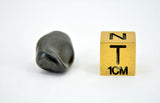 6.69g SIKHOTE ALIN witnessed fall 1947 I Sculptured Iron Meteorite