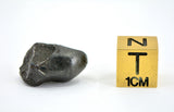 6.82g SIKHOTE ALIN witnessed fall 1947 I Sculptured Iron Meteorite