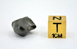 6.82g SIKHOTE ALIN witnessed fall 1947 I Sculptured Iron Meteorite