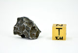 10.92g SIKHOTE ALIN witnessed fall 1947 I Sculptured Iron Meteorite