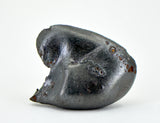 11.80g SIKHOTE ALIN witnessed fall 1947 I Iron Meteorite