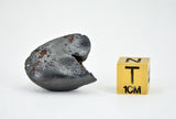 11.80g SIKHOTE ALIN witnessed fall 1947 I Iron Meteorite