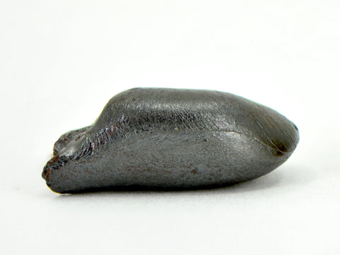 11.80g SIKHOTE ALIN witnessed fall 1947 I Iron Meteorite