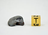 11.80g SIKHOTE ALIN witnessed fall 1947 I Iron Meteorite