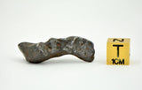 13.97g SIKHOTE ALIN witnessed fall 1947 I Iron Meteorite