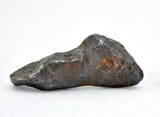 13.97g SIKHOTE ALIN witnessed fall 1947 I Iron Meteorite