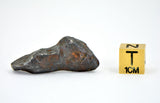 13.97g SIKHOTE ALIN witnessed fall 1947 I Iron Meteorite