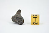 13.97g SIKHOTE ALIN witnessed fall 1947 I Iron Meteorite