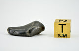 7.57g SIKHOTE ALIN witnessed fall 1947 I Iron Meteorite