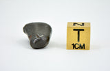 7.89g SIKHOTE ALIN witnessed fall 1947 I Iron Meteorite