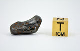 7.89g SIKHOTE ALIN witnessed fall 1947 I Iron Meteorite