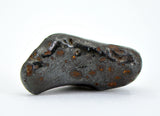 7.89g SIKHOTE ALIN witnessed fall 1947 I Iron Meteorite