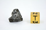 9.45g SIKHOTE ALIN witnessed fall 1947 I Sculptured Iron Meteorite