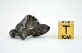 9.45g SIKHOTE ALIN witnessed fall 1947 I Sculptured Iron Meteorite