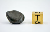 9.68g Sikhote-Alin Iron Meteorite Witnessed Fall 1947 Double Rollover Lip