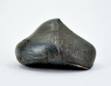 9.68g Sikhote-Alin Iron Meteorite Witnessed Fall 1947 Double Rollover Lip