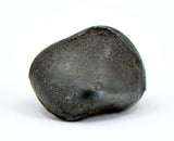 9.68g Sikhote-Alin Iron Meteorite Witnessed Fall 1947 Double Rollover Lip