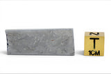 9.18g EL SAMPAL Meteorite I III AB Iron Meteorite I Etched slice