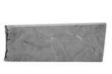 9.18g EL SAMPAL Meteorite I III AB Iron Meteorite I Etched slice