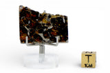 11.67g SEYMCHAN Meteorite Pallasite slice