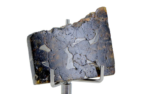 11.67g SEYMCHAN Meteorite Pallasite slice