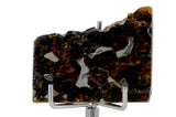 11.67g SEYMCHAN Meteorite Pallasite slice