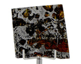 14.36g SEYMCHAN Meteorite Pallasite slice