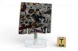 14.36g SEYMCHAN Meteorite Pallasite slice
