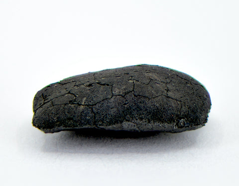 0.48g C2-ung TARDA Carbonaceous Chondrite Oriented Meteorite
