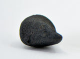 0.51g C2-ung TARDA Carbonaceous Chondrite Oriented Meteorite