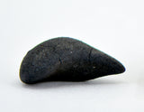 0.51g C2-ung TARDA Carbonaceous Chondrite Oriented Meteorite
