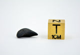0.51g C2-ung TARDA Carbonaceous Chondrite Oriented Meteorite