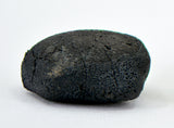 0.86g C2-ung TARDA Carbonaceous Chondrite Oriented Meteorite