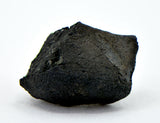 0.98g C2-ung TARDA Carbonaceous Chondrite Meteorite
