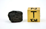0.98g C2-ung TARDA Carbonaceous Chondrite Meteorite