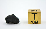 0.98g C2-ung TARDA Carbonaceous Chondrite Meteorite