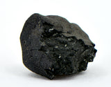 0.98g C2-ung TARDA Carbonaceous Chondrite Meteorite