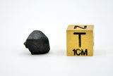 1.2g C2-ung TARDA Carbonaceous Chondrite Meteorite
